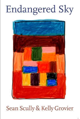 ENDANGERED SKY: SEAN SCULLY   KELLY GROVIER HC - KELLY GROVI