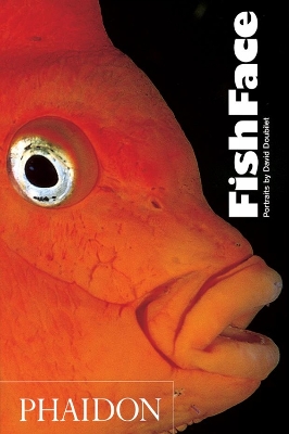 FISHFACE PB A FORMAT - DAVID DOUBILET