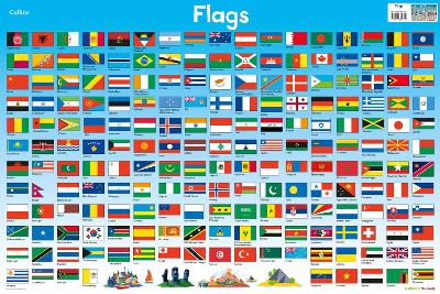 FLAGS (COLLINS CHILDREN’S POSTER) - STEVE EVANS-COLLINS KIDS