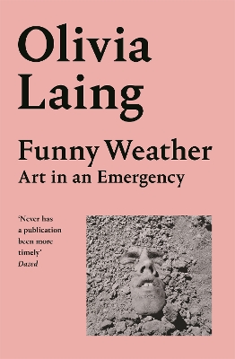 FUNNY WEATHER - OLIVIA LAING