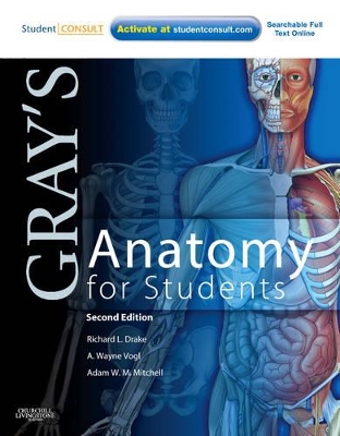GRAYS ANATOMY FOR STUDENTS 2ND ED PB - RICHARD DRAKE-A. WAYN