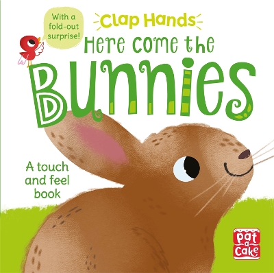 HERE COME THE BUNNIES : A TOUCH AND FEEL BOARD BOOK WITH A F