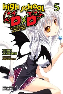 HIGH SCHOOL DXD VOL. 5 (LIGHT NOVEL) - ICHIEI ISHIBUMI-MIYAM