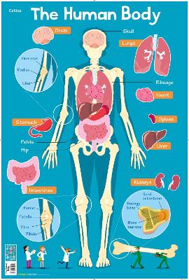 HUMAN-BODY-COLLINS-CHILDRENS-POSTER-STEVE-EVANS-COLLINS.jpg HUMAN BODY (COLLINS CHILDREN’S POSTER) - STEVE EVANS-COLLINS