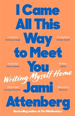 I CAME ALL THIS WAY TO MEET YOU PB - JAMI ATTENBERG