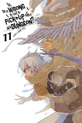 IS IT WRONG TO TRY TO PICK UP GIRLS IN A DUNGEON? VOL. 11 (L