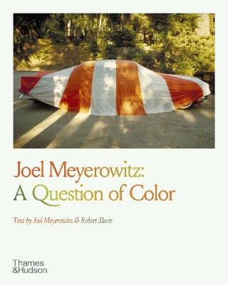 JOEL MEYEROWITZ: A QUESTION OF COLOUR PB - JOEL MEYEROWITZ-R