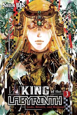 KING OF THE LABYRINTH VOL. 3 (LIGHT NOVEL) HC - LUKE HUTTONN