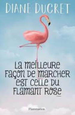 LA MEILLEURE FACON DE MARCHER EST CELLE DU FLAMANT ROSE  POC