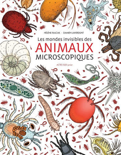 LES MONDES INVISIBLES DES ANIMAUX MICROSCOPIQUES  POCHE - LA