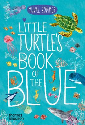 LITTLE TURTLES BOOK OF THE BLUE HC - YUVAL ZOMMER