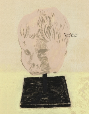 MAMMA ANDERSSON: A STORM WARNING HC - MAMMA ANDERSSON-KARL O