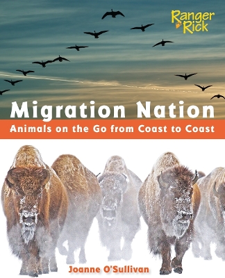 MIGRATION NATION  PB - JOANNE OSULLIVAN