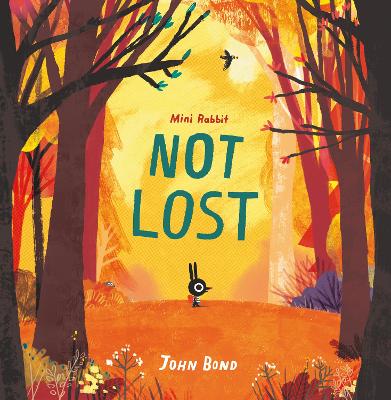 MINI RABBIT NOT LOST HC - JOHN BOND