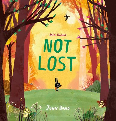 MINI RABBIT - NOT LOST PB - JOHN BOND