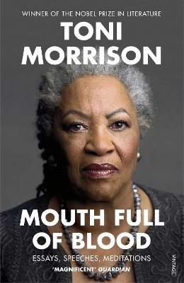 MOUTH FULL OF BLOOD : ESSAYS SPEECHES MEDITATIONS PB - TONI