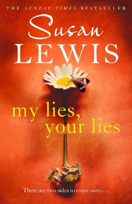 MY LIES YOUR LIES - SUSAN LEWIS