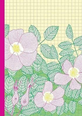 NATIVE HERBS JOURNAL PB - JILL BLISS
