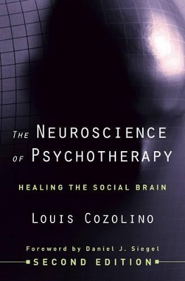 NEUROSCIENCE OF PSYCHOTHERAPY CLOTH BOOK - LOUIS COZOLINO