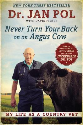 NEVER TURN YOR BACK ON AN ANGUS COW :MY LIFE AS A COUNTRY VE