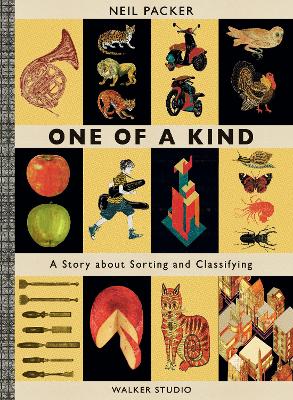 ONE OF A KIND : A STORY ABOUT SORTING AND CLASSIFYING - NEIL