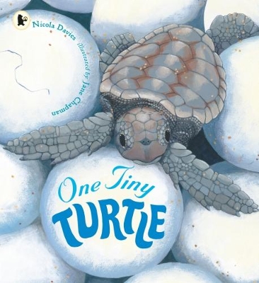 ONE TINY TURTLE - NICOLA DAVIES-JANE CHAPMAN