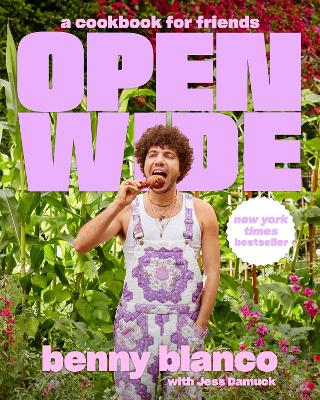 OPEN WIDE : A COOKBOOK FOR FRIENDS HC - BENNY BLANCO-JESS DA