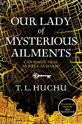 OUR LADY MYSTERIOUS AILMENTS PB MME - T. L. HUCHU