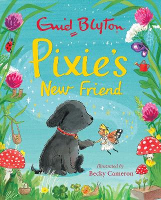 PIXIES NEW FRIEND HC - ENID BLYTON-BECKY CAMERON