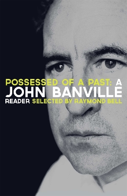 POSSESSED OF A PAST - JOHN BANVILLE