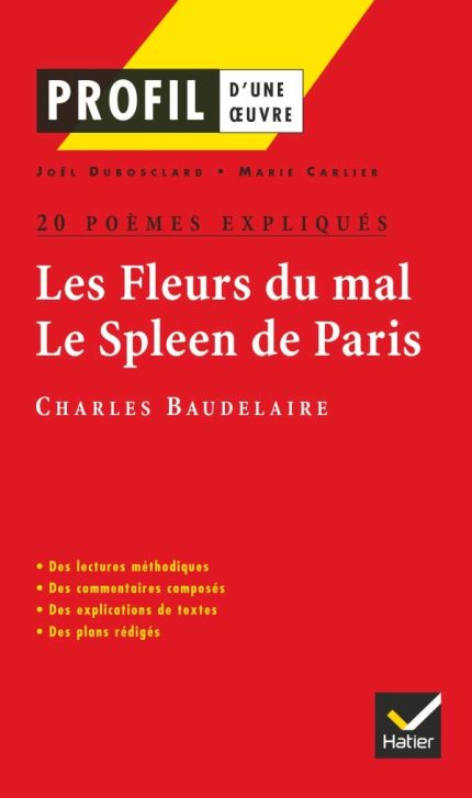 PROFIL DUNE OEUVRE LES FLEURS DU MAL - LE SPLEEN DE PARIS :