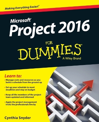 PROJECT 2016 FOR DUMMIES PB - CYNTHIA SNYDER DIONISIO