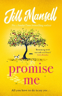 PROMISE ME - JILL MANSELL