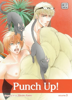PUNCH UP! VOL. 3  PA - SHIUKO KANO