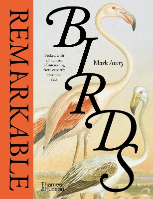 REMARKABLE BIRDS HC - MARK AVERY