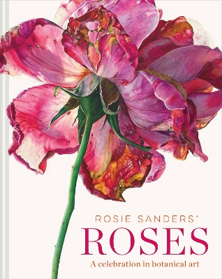 ROSIE SANDERS ROSES HC - ROSIE SANDERS