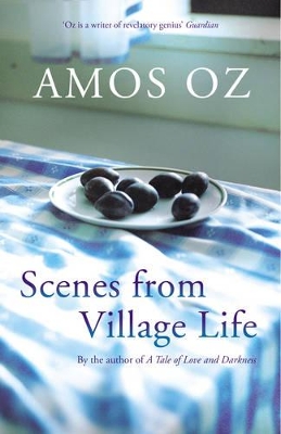 SCENES FROM VILLAGE LIFE HC - AMOS OZ-NICHOLAS DE LANGE