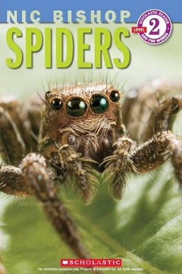 SCHOLASTIC READER 2: SPIDERS - NIC BISHOP-NIC BISHOP