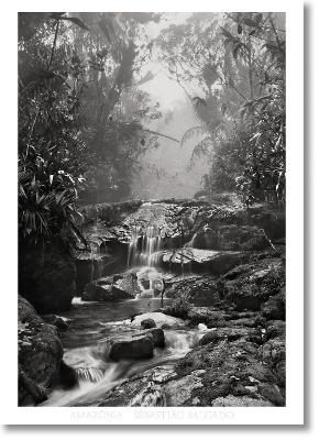 SEBASTI?O SALGADO. AMAZΟNIA. POSTER CREEK - TASCHEN