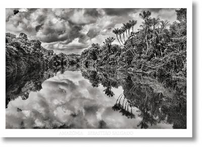 SEBASTI?O SALGADO. AMAZΟNIA. POSTER JAU RIVER - TASCHEN