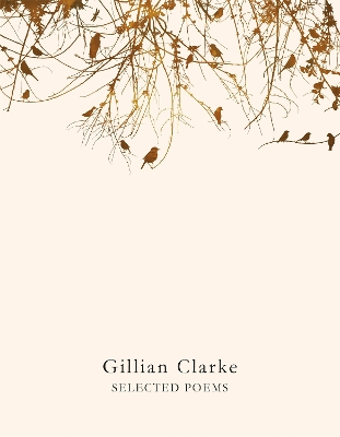 SELECTED POEMS - GILLIAN CLARKE
