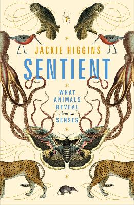 SENTIENT - JACKIE HIGGINS