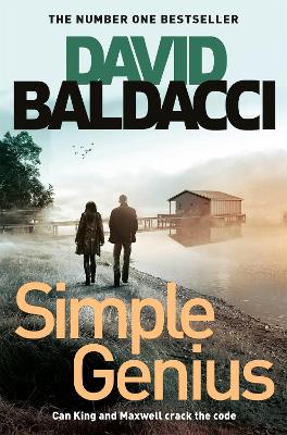 SIMPLE GENIUS - DAVID BALDACCI