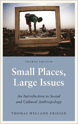 SMALL PLACES LARGE ISSUES PB - THOMAS HYLLAND ERIKSEN