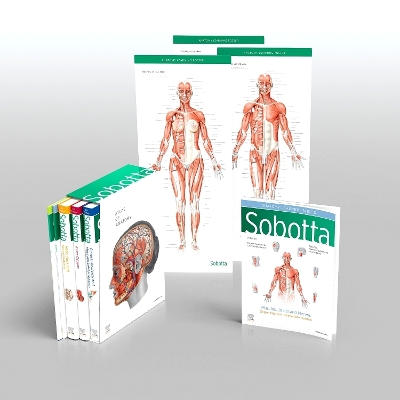 SOBOTTA ATLAS OF ANATOMY - FRIEDRICH PAULSEN-JENS WASCHKE