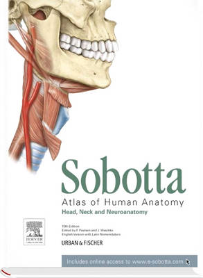 SOBOTTA ATLAS OF ANATOMY: HEAD NECK AND NEUROANATOMY VOL 3 P