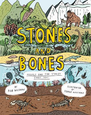 STONES AND BONES: FOSSILS AND THE STORIES THEY TELL HC - ROB