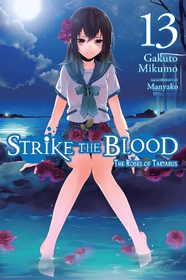 STRIKE THE BLOOD VOL. 13 (LIGHT NOVEL) - GAKUTO MIKUMOMANYAK