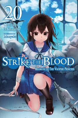 STRIKE THE BLOOD VOL. 20 (LIGHT NOVEL) - GAKUTO MIKUMOMANYAK