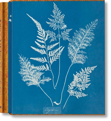 TASCHEN CLOTHBOUND CLASSICS : ANNA ATKINS. CYANOTYPES HC - P